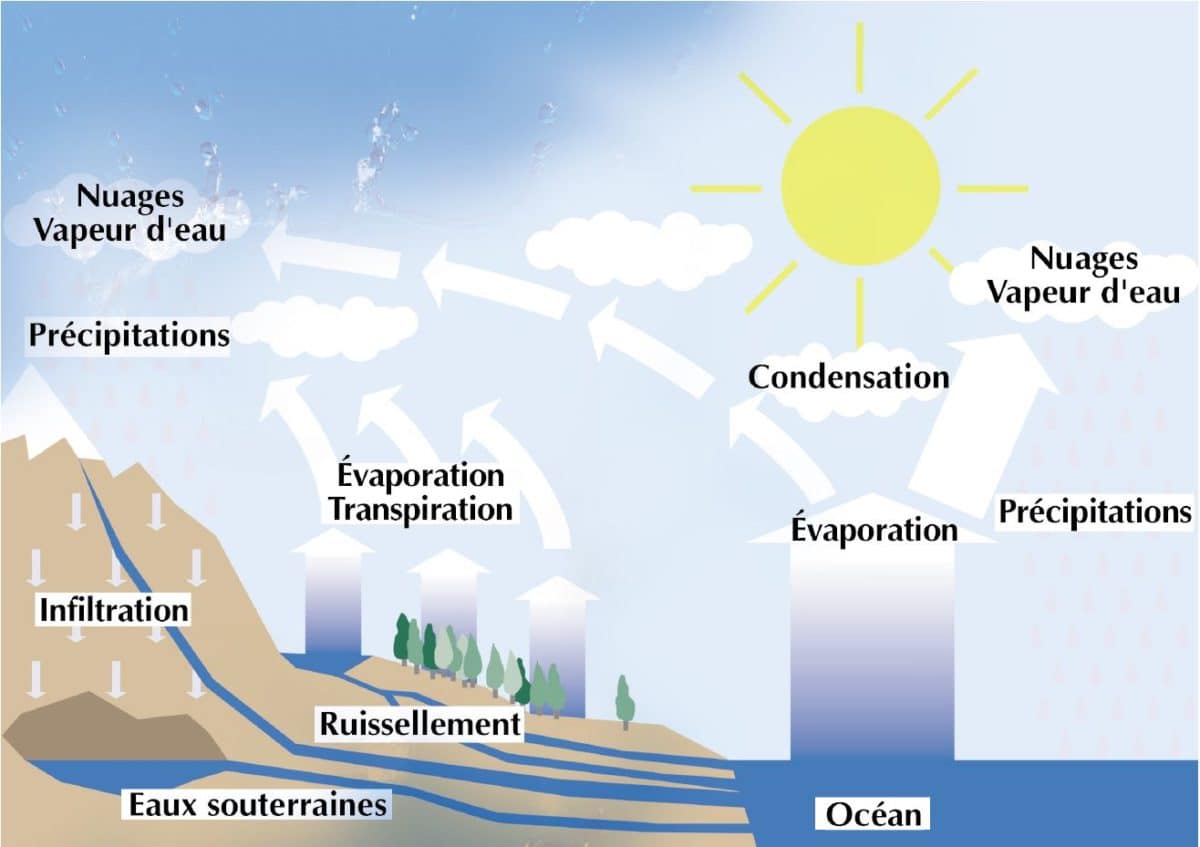 Cycle de l'eau