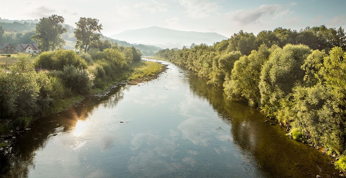 Comment réaliser une analyse d'eau de mon étang ou de mon bassin