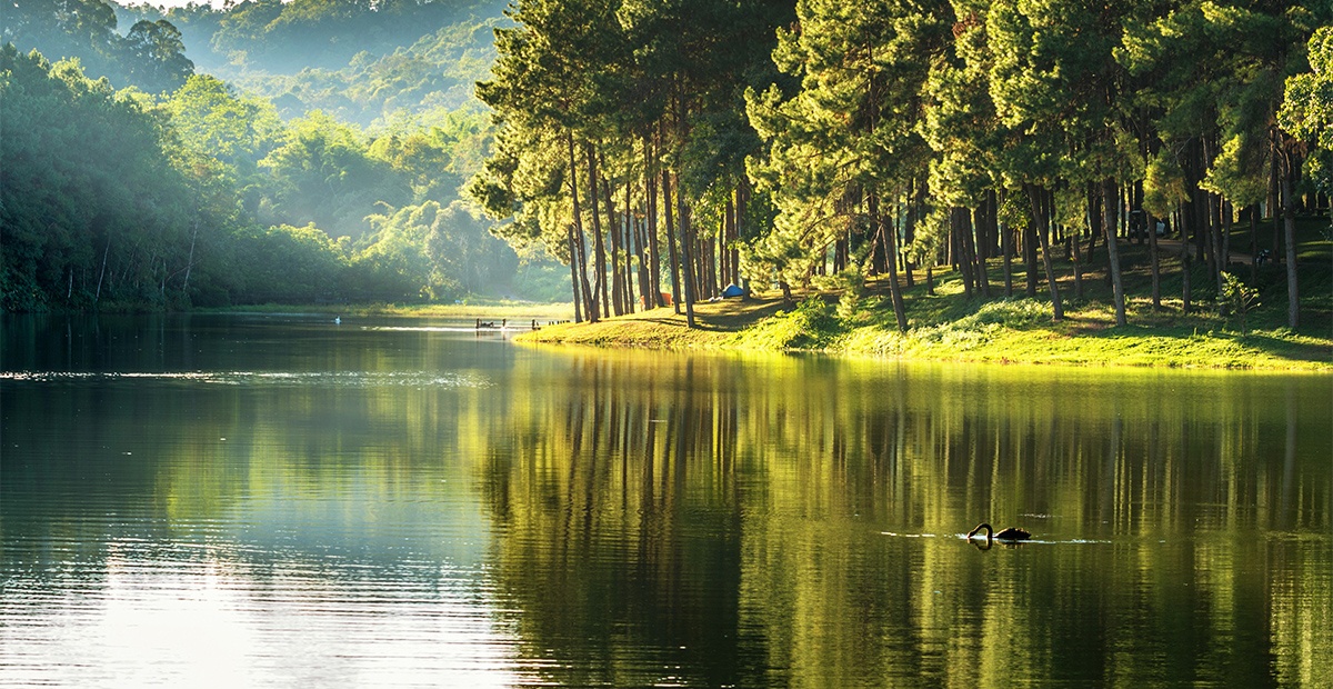 En France, quelles sont les ressources en eau ?