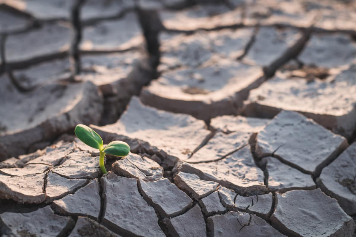 Croissance démographique, réchauffement climatique