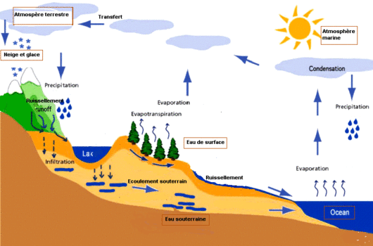 Le cycle de l’eau - Source : Eduterre – ENS Lyon
