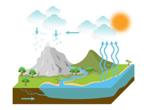 the water cycle illustration infographic. vector esp10