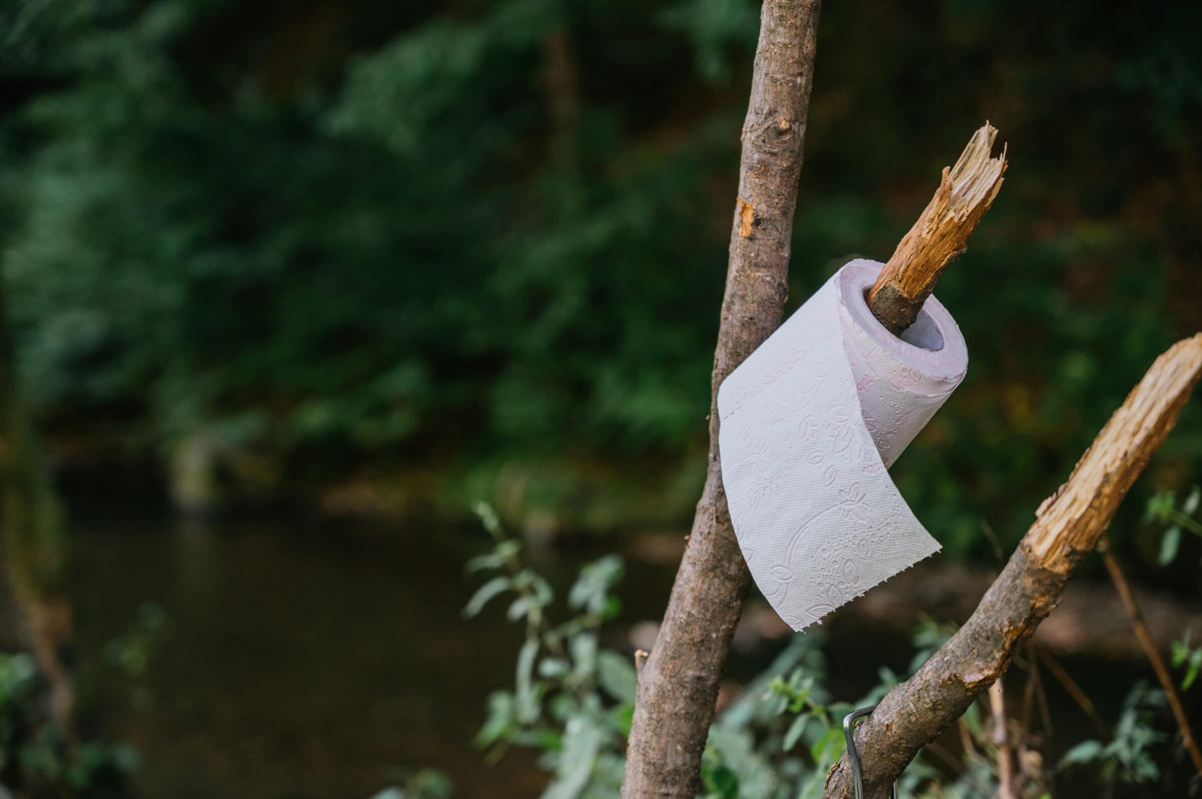 Toilet paper in the forest. Outdoor camping equipment.