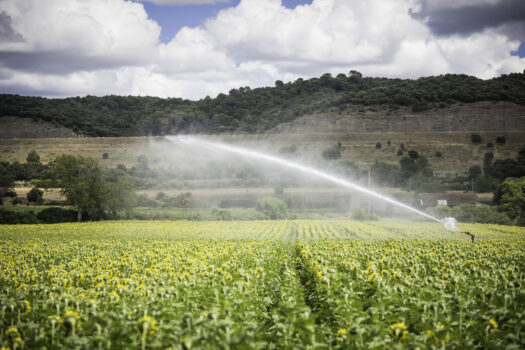 irrigation eau virtuelle